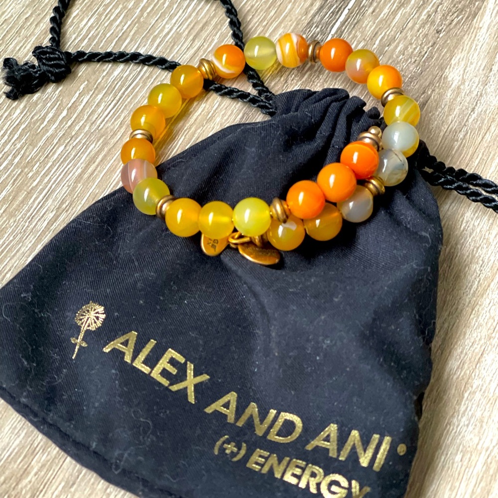 Vintage Sixty Six Alex and Ani bangle bracelet